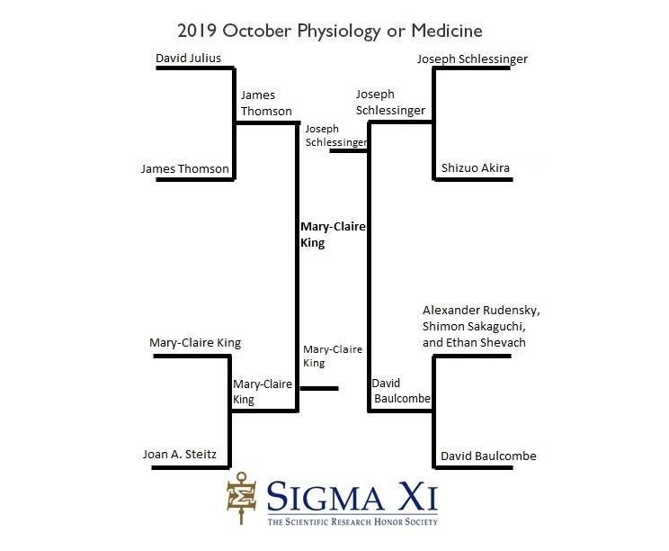 2019 Bracket Results Physiology or Medicine